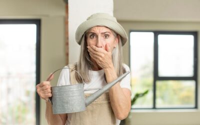 Jak odwodnić dom podczas podmokłego gruntu?