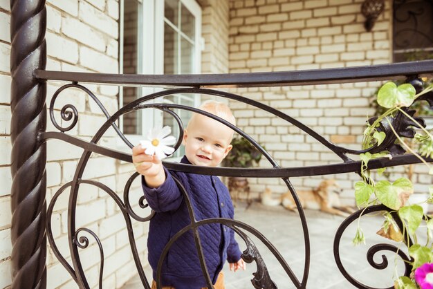 Jak zrobic balkon francuski na własnym tarasie?