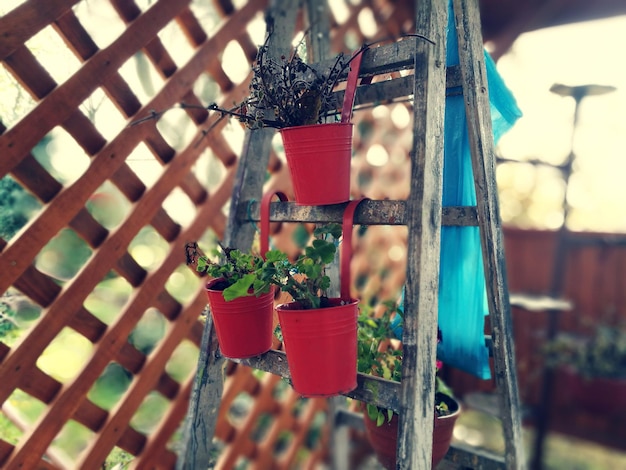 Jak zrobić dużą donicę ogrodową z dostępnych materiałów?