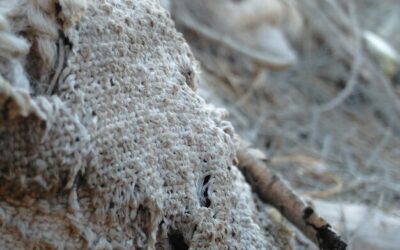 Jak kleić wełnę mineralną, by zapewnić trwałą izolację?