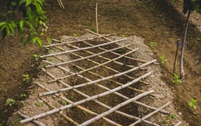 Jak wykonać zbrojenie pod fundament w domowych warunkach?