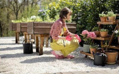 Jak tanio zrobić taras w ogrodzie bez zbędnych wydatków?