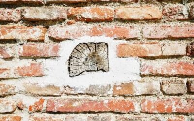 Stara cegła – jak odnowić ścianę w klasycznym stylu?